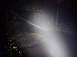 e5513742-1fb9-4dde-9891-2288c2a0b726