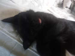 94142455-2395-49ea-93ab-56e9c469e85c