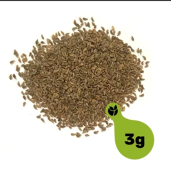 5235b872-1718-49d2-8ae0-248c30e7a99a