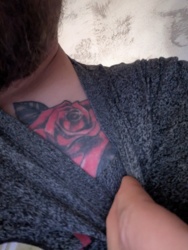 a8b64051-4ab3-4656-863c-7978322b44b4