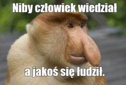 c0e0356a-75c1-4432-8bf6-d761c4b6fabc