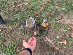 bdb8e2b5-913a-4314-831e-43ebdf34e095