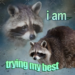 7fbae9c9-7a55-496e-b2a3-8eed951fc950