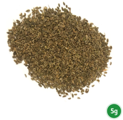 8c5356ed-2da6-4b03-8e39-71070e2d3909