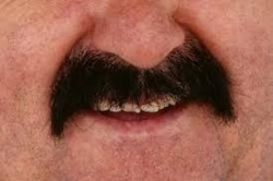 8e8b5a75-3ced-463f-a6bf-621e795c804d