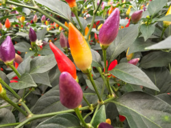 b39a51bb-61f5-4982-9e3a-f0bffab50a17