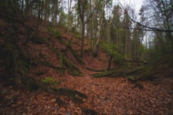 9ae9ff2c-7947-4254-ada3-1c9b9a454f08