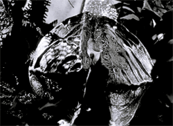 af9139fd-f3ee-4a41-94e2-049d22b37512