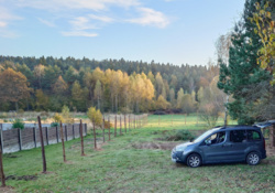 9c2050e5-a4ff-45b8-a83b-402ea69207d0