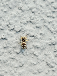 2e608006-2fb2-4159-a90a-c7c531d4c49d