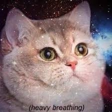 1f1fe8bb-2fdc-4bd7-ba05-37adc934ad13