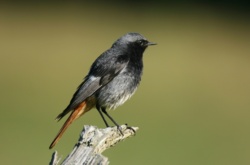 6f39cd5c-148e-4bbb-85f7-4fdcedda934e