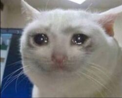 41a7ede8-e4c9-4f1e-bd7d-eda508946297