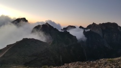 7c723b32-bedc-4a97-a369-67f4503d33da