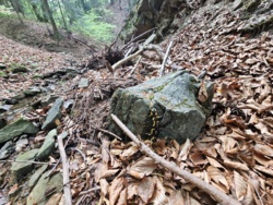 0148ef99-dede-431f-9cba-c48e97ff459a