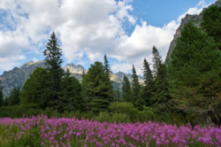 0cc3505f-2c1d-4c73-bcad-9b9abc48536a