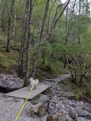 abf6c875-c863-420e-aaf9-d60bf269420a