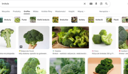 526e6d50-58d7-40d9-8adb-db7aff598367