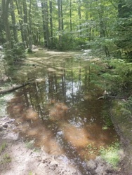 05dfa217-a07c-41c5-b867-3cd63e7d0681