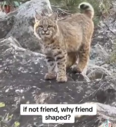 2c542240-a4b1-4d70-8636-ed86447aa6d2