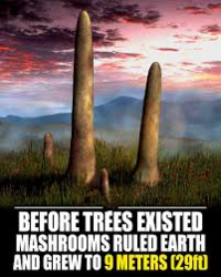 20ae2433-af1b-4b70-b156-d1e126ef02c7