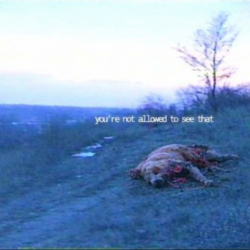 beb1e42c-e1f7-4f2a-8d96-a3b08bd3cea9