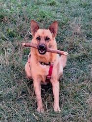 21fe0207-fc2f-467e-8976-a6bba8cfb6ee