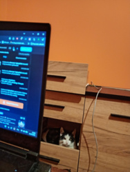 9ef9cb5b-1bf8-46bc-8fb0-ea8dadddd4de