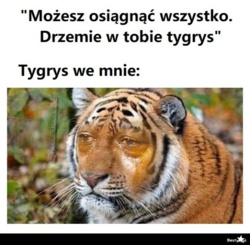 33c4d5f9-4f87-497c-9f20-37bba3f9f7da