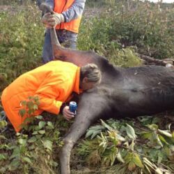 3fb65c47-94d9-4028-8c36-45916820713e