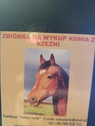 45d7b7fd-1bf1-4e32-a453-370bba737e41