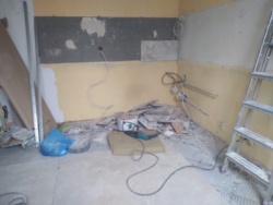 7156b967-4b2e-4918-8b38-d9d03b6c4c4f