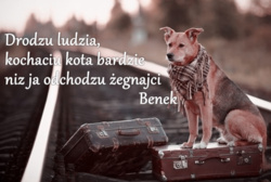 90e8b5dd-3783-407a-a88a-2055ad8a4208