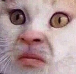 79517733-cd5b-450e-a7a1-2a8db3deb392