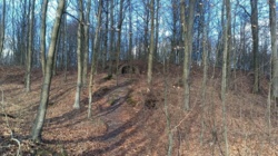 90272739-cdab-48d2-9540-2a1e69cf0c8d