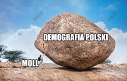 cbb7f9e1-7591-41b8-8756-5b9bd22ea291