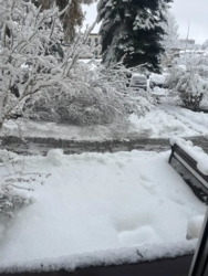 40ec77ba-32e5-4e13-8909-1d0f93f35dd2