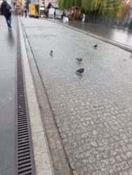 e50857a4-10e0-4ce1-84d7-27141529650b