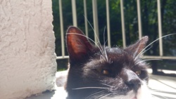 b7988b42-c262-4419-901c-06173b3b0875