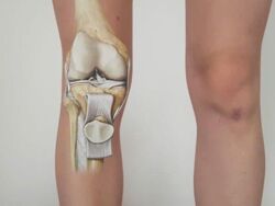 02f906cb-5510-47f1-83f7-fe9e7bea9cbb