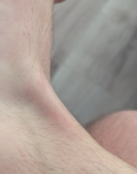 24385931-1f09-4cfb-aba8-7d2a681c1bf5