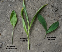 a6b5e9f5-1987-4c91-8888-16284a4c6e20