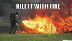 5838cf91-a768-467c-a2d6-b7e2b8ef5d7f