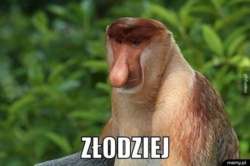 10361b9d-4cf2-49c1-8b25-046eec498bef