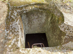 47513778-7411-4fa9-b320-cf41b39bdb24