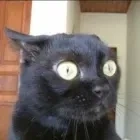 96a0800d-0644-423c-96dd-86dd416f7dbf