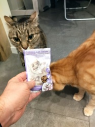 826f6bd1-7d12-48d8-abb0-48d0443b5ec3