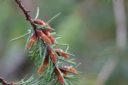 4345b6f3-d4ef-45e7-9779-892fd78a6bb6