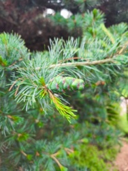 39306225-bf64-4bba-9e2c-48cd1ef27de5