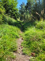 bf2d4007-5574-4ed4-a106-dd50e6c72839